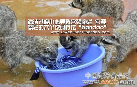 清洁过度小心导致宫颈糜烂 宫颈糜烂的六个饮食疗法“bandao”
