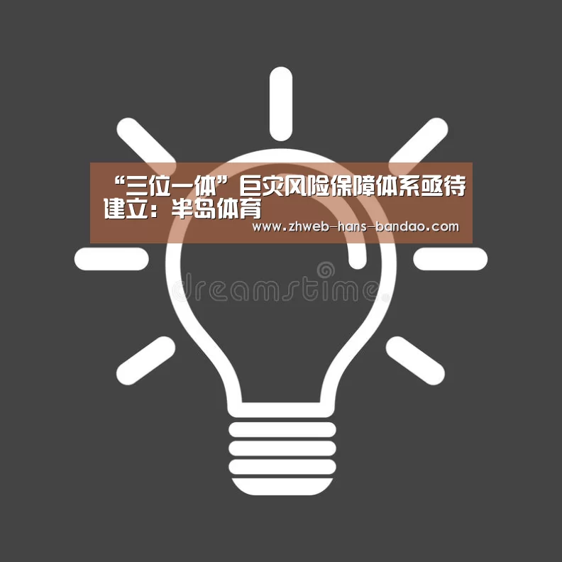 “三位一体”巨灾风险保障体系亟待建立：半岛体育