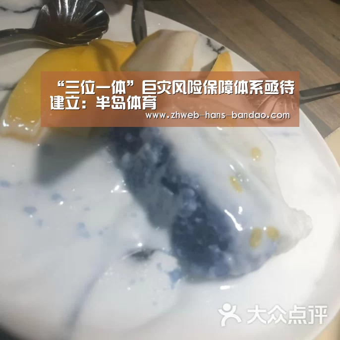 “三位一体”巨灾风险保障体系亟待建立:半岛体育(图2) 半岛体育下载