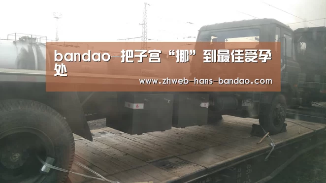 bandao-把子宫“挪”到最佳受孕处