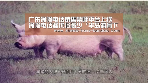 广东保险电话销售禁呼平台上线 保险电话骚扰将减少‘半岛体育下载’