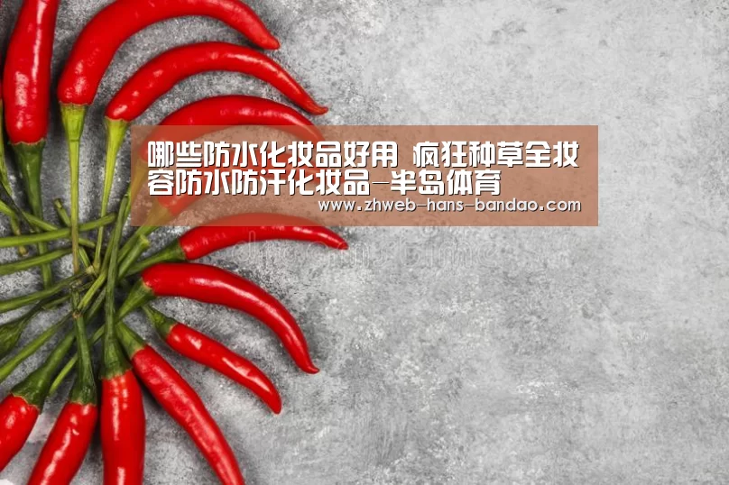 哪些防水化妆品好用 疯狂种草全妆容防水防汗化妆品-半岛体育